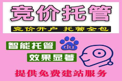 竞价推广开户全解析：行业领先企业的推广策略